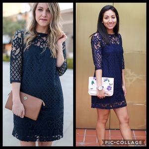 loft lace shift dress